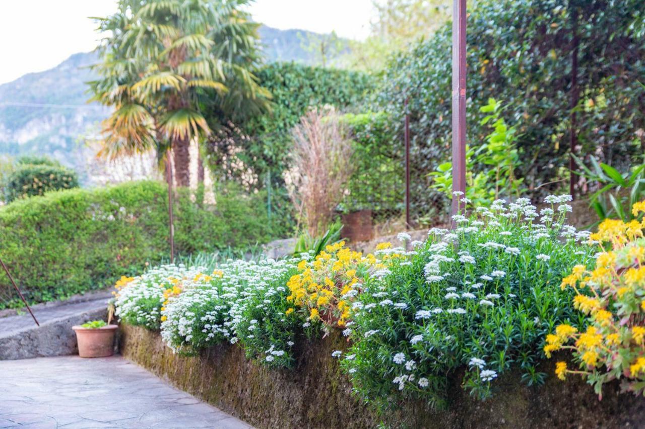 Casa Giulia Villa Lierna Eksteriør bilde